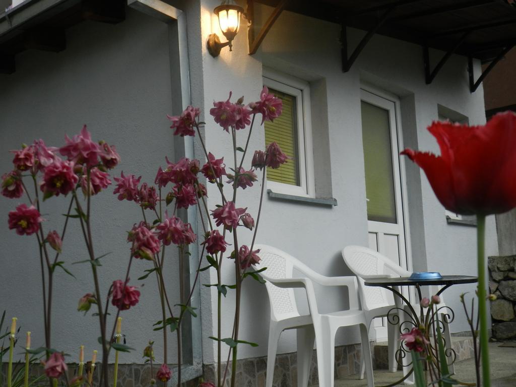 Apartment-Studio Downtown Dudanovi Οχρίδα Εξωτερικό φωτογραφία