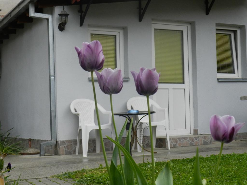 Apartment-Studio Downtown Dudanovi Οχρίδα Εξωτερικό φωτογραφία